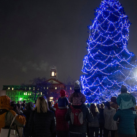 ru_christmas_tree_lighting_480x480.jpg